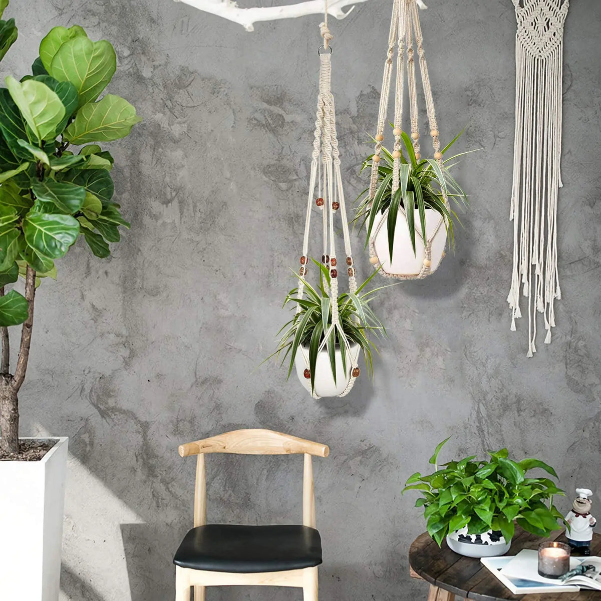 Rope Plant Hanger